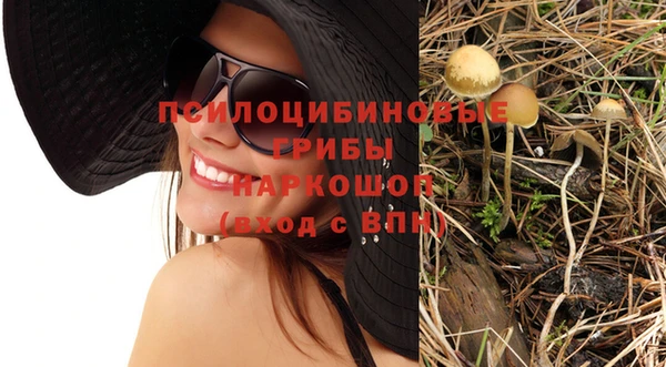 крисы Арсеньев