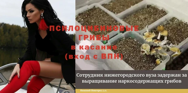 крисы Арсеньев