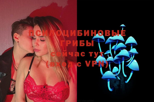 метамфетамин Аркадак